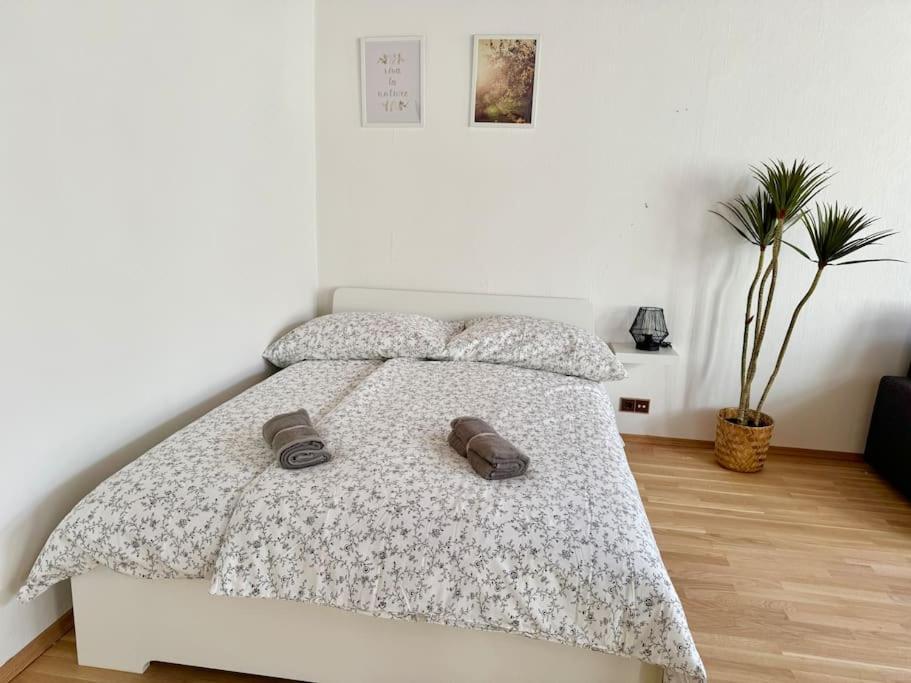 110 M2 Sunny & Central Long Term Apartment - Free Parking Wien